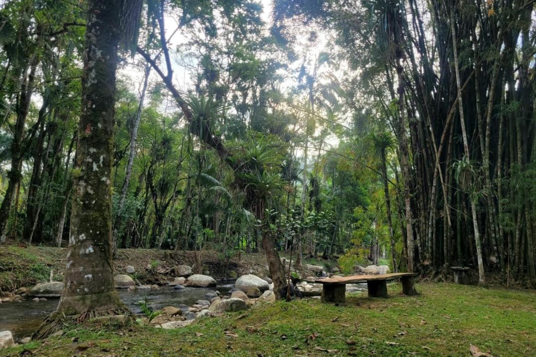 Photo of Others in Morretes