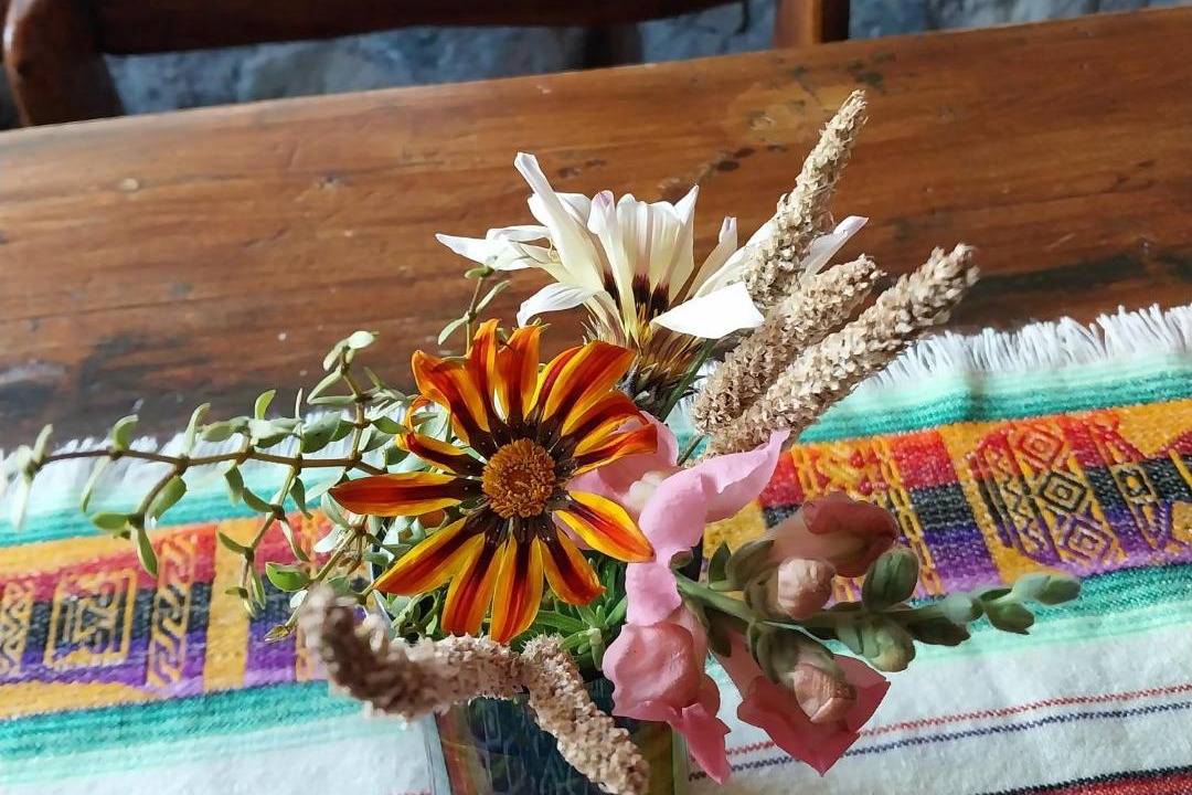 Photo of Others in Potrerillos