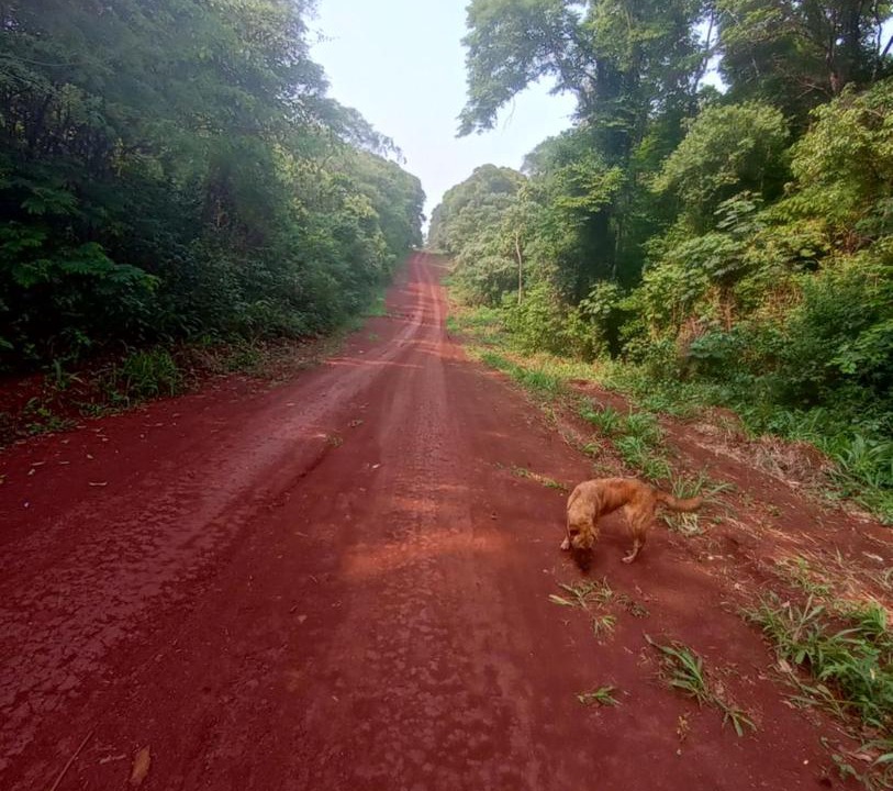 Photo of Others in Eldorado