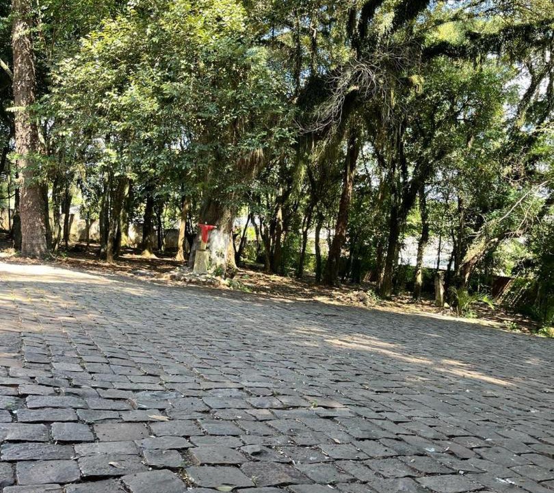 Photo of Others in Petropolis