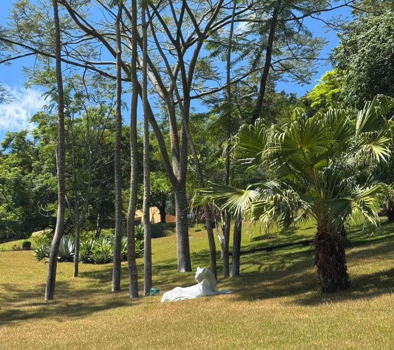 Photo of Others in Mirantao