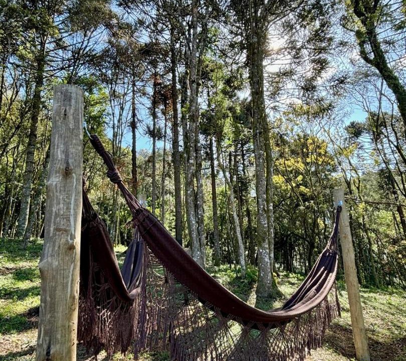 Photo of Others in Urubici