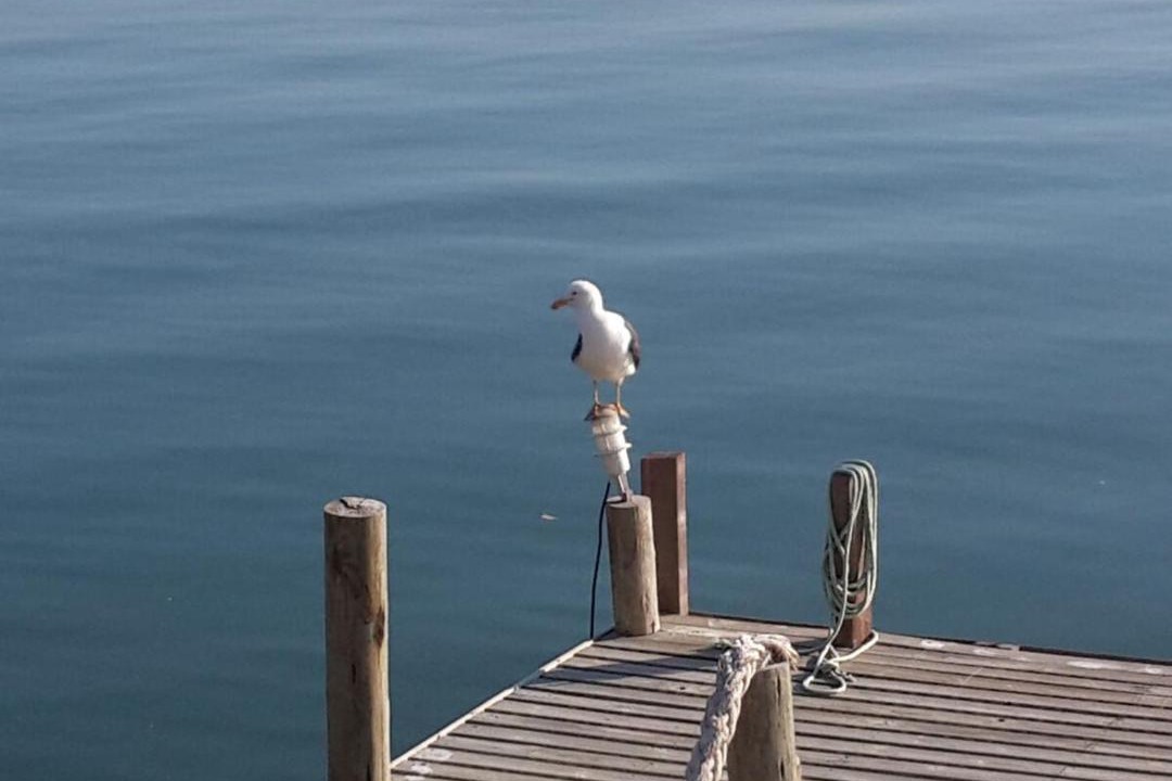 Photo of Others in Florianopolis