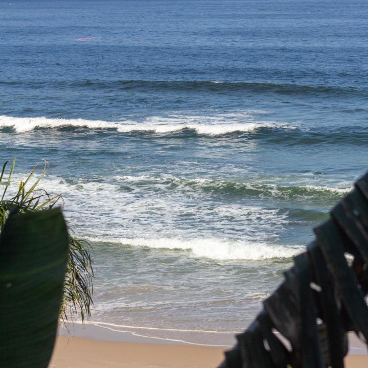 Photo of Others in Rio das Pacas