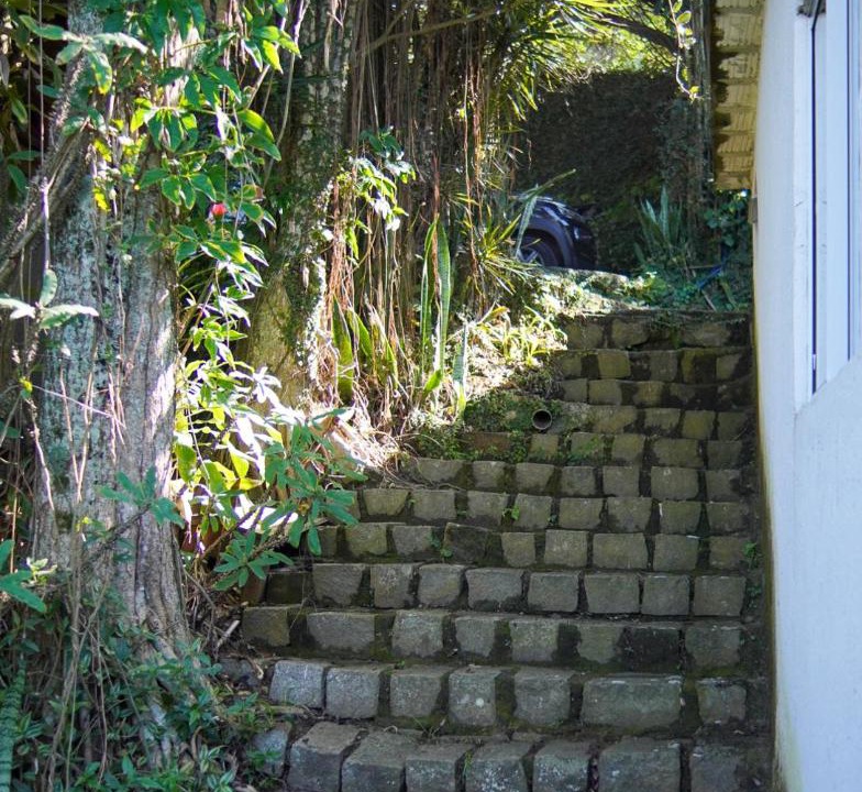 Photo of Others in Rio das Pacas