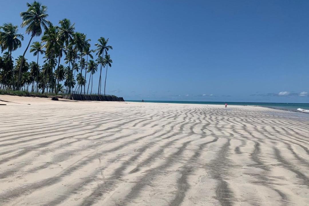 Photo of Others in Praia dos Carneiros
