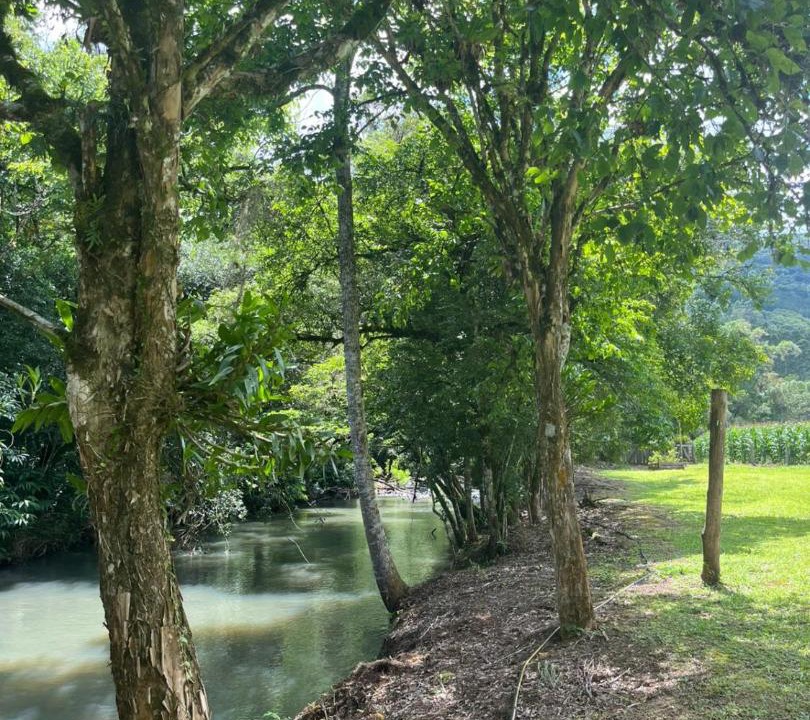 Photo of Others in Riozinho