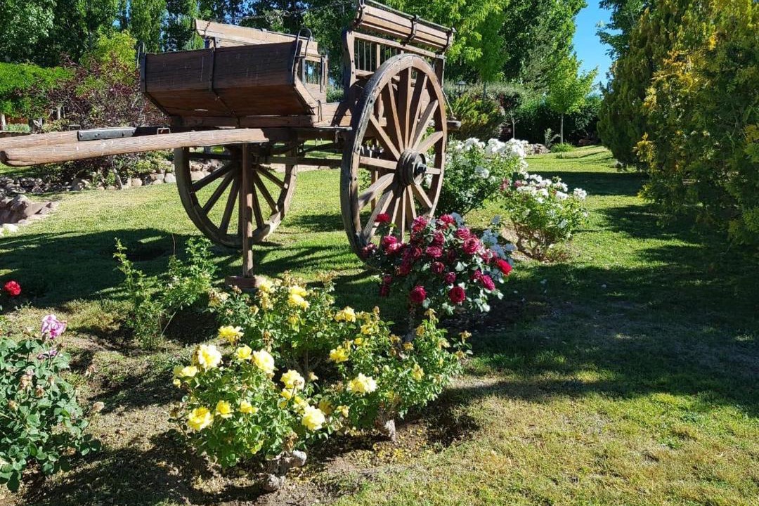 Photo of Outdoor in Barreal