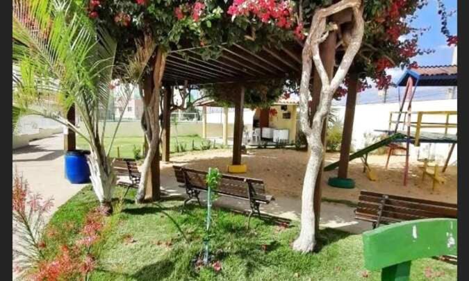 Photo of Others in Petrolina