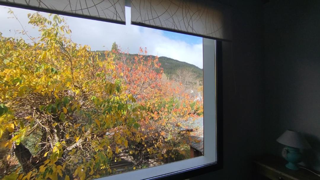 Photo of Others in Lanin National Park
