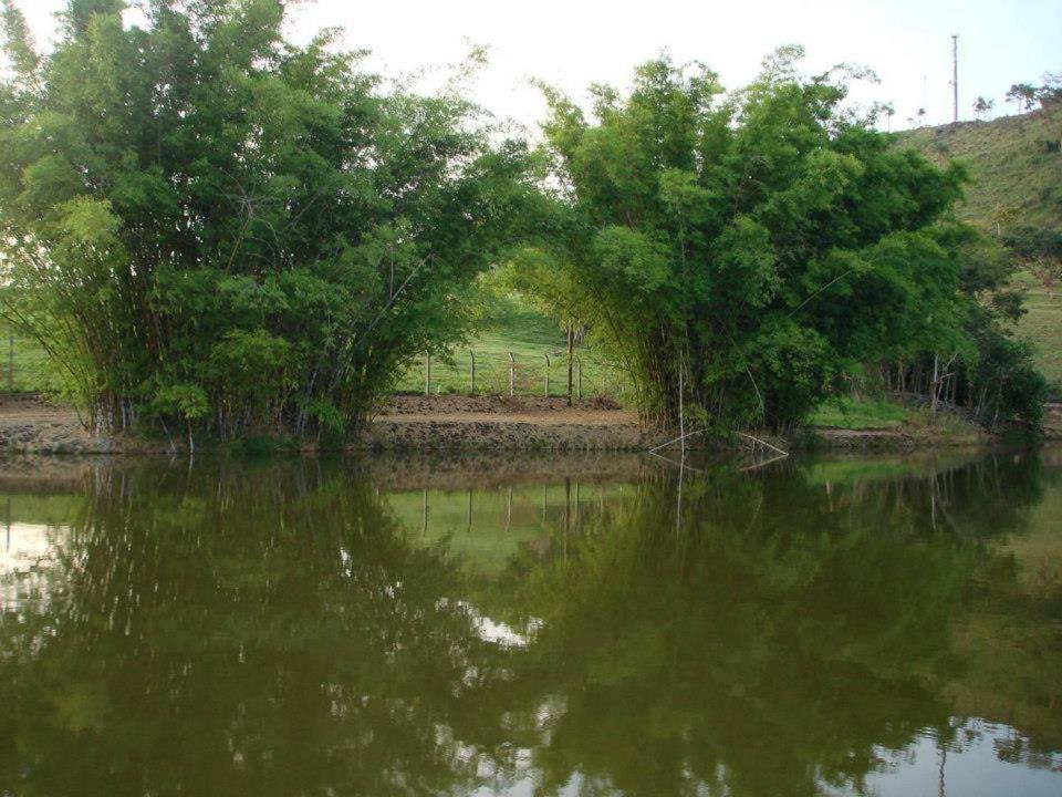 Photo of Others in Sao Jose do Rio Pardo