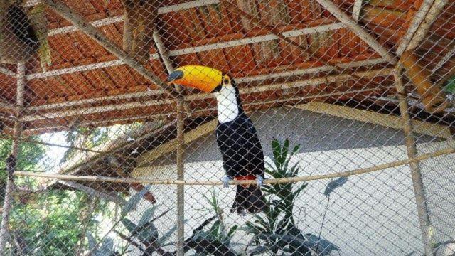 Photo of Others in Sao Jose do Rio Pardo