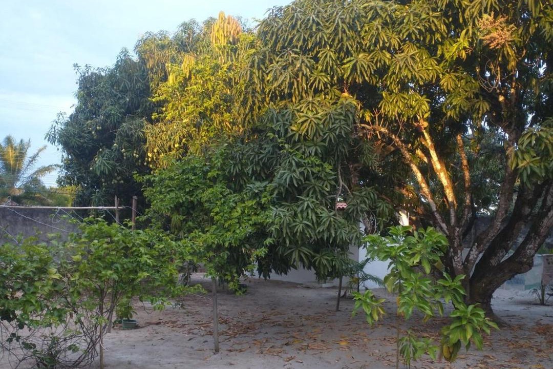 Photo of Others in Itaparica