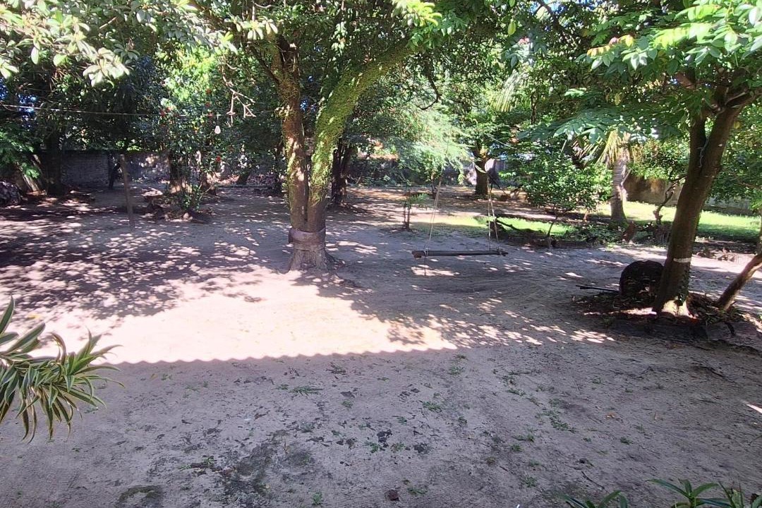 Photo of Others in Soure