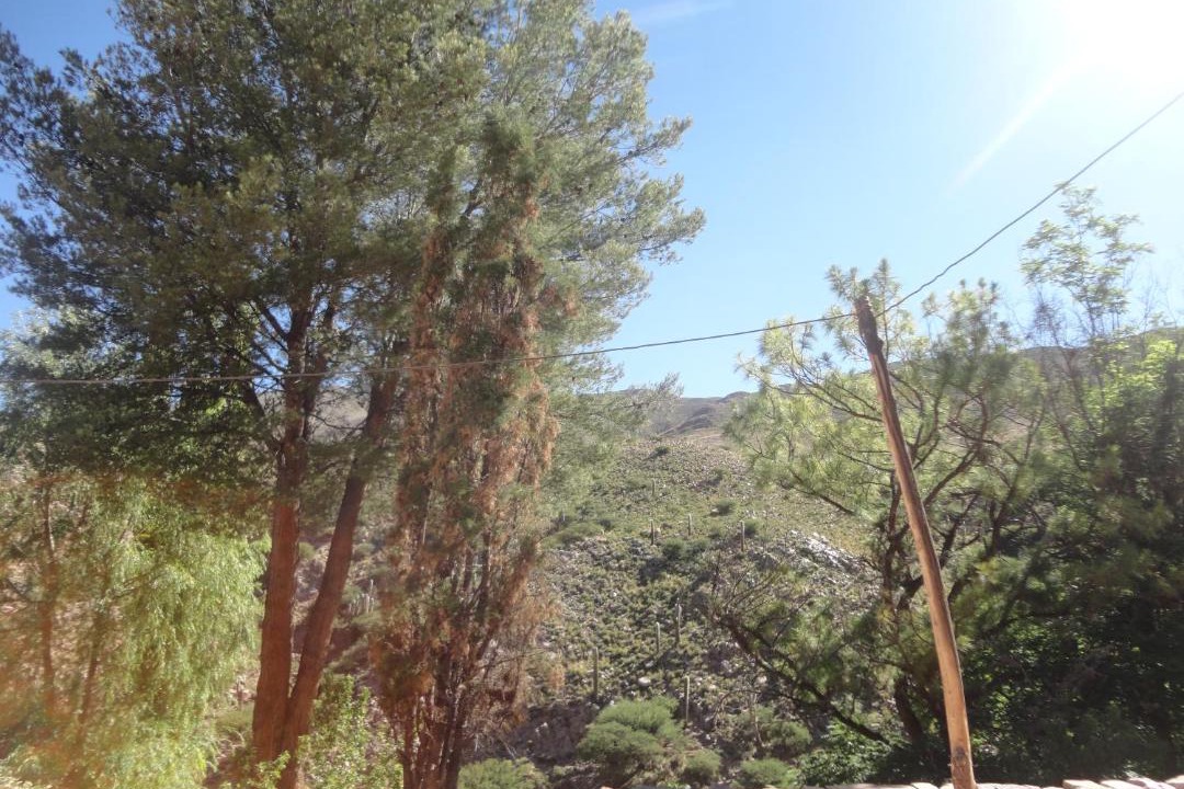 Photo of Others in Humahuaca