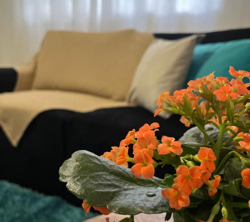 Photo of Livingroom in Jardim Andira