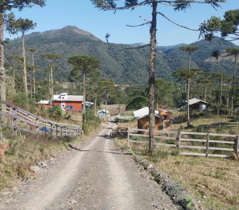 Photo of Others in Urubici