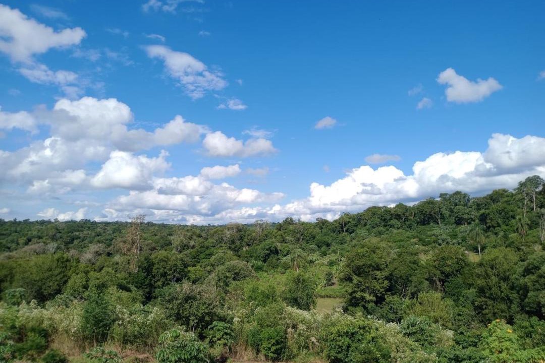 Photo of Others in Puerto Iguazu