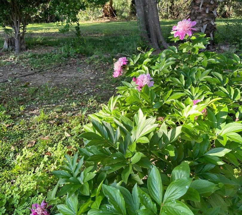 Photo of Outdoor in Junin Department