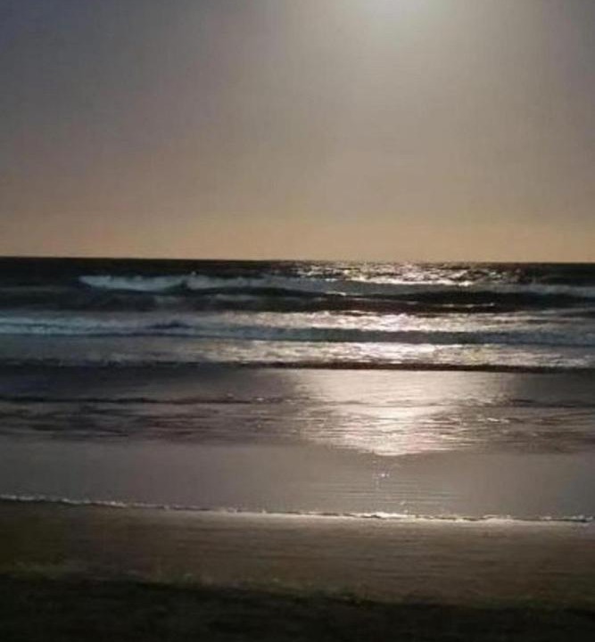 Photo of Others in Costa del Este