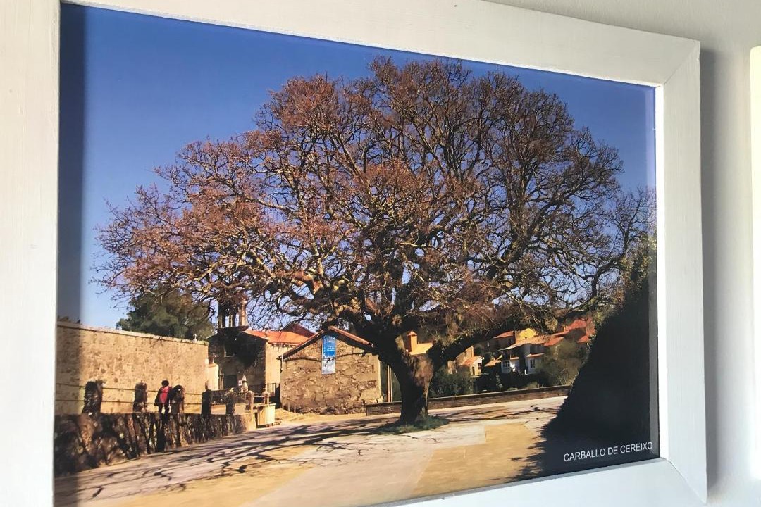 Photo of Others in Federacion