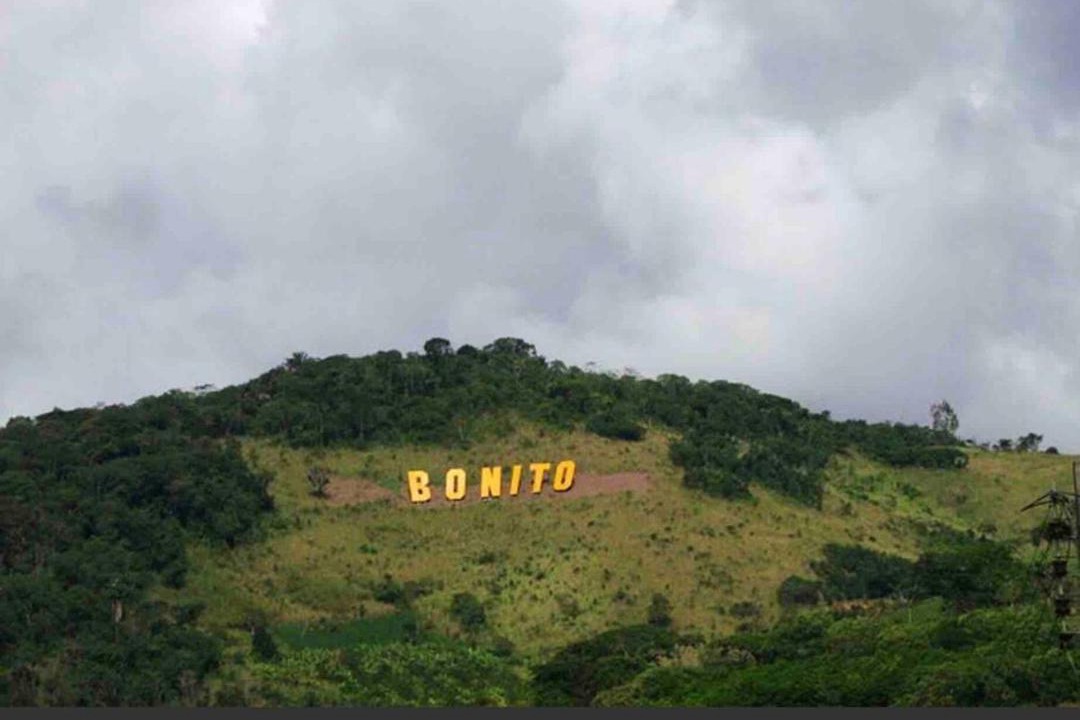 Photo of Others in Bonito
