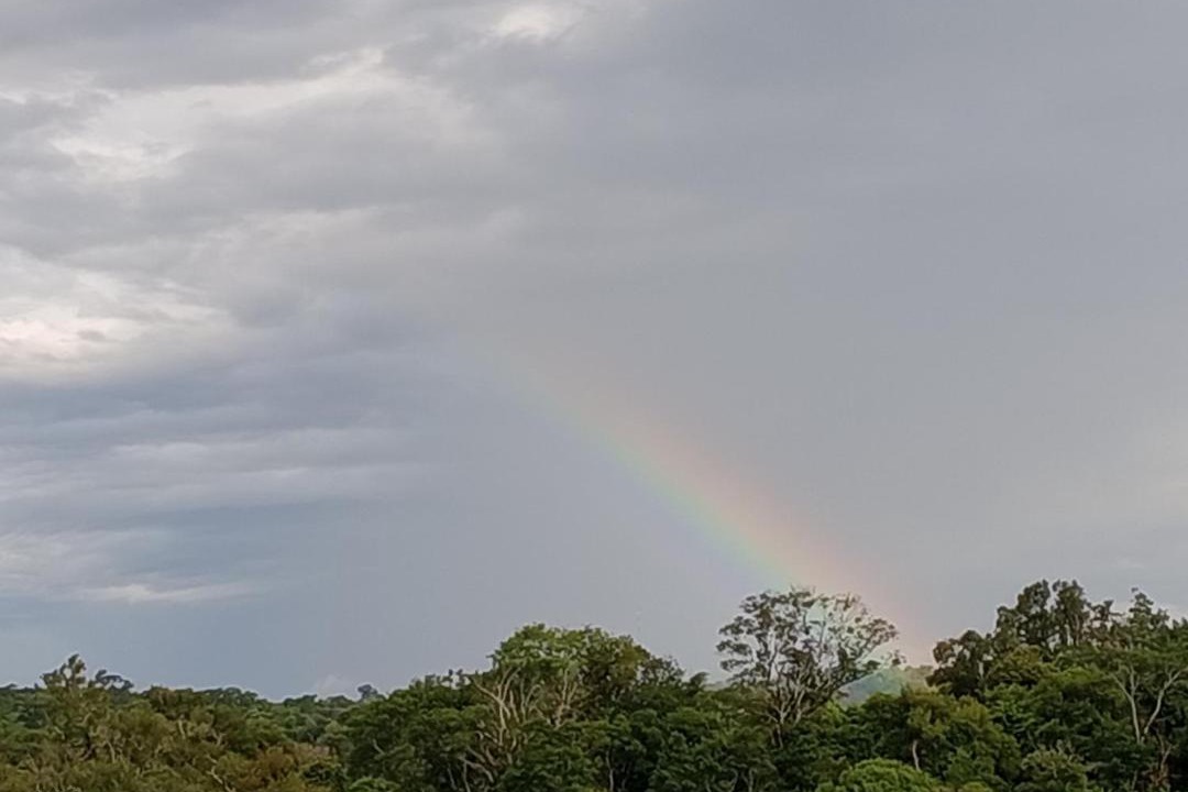 Photo of Others in Puerto Iguazu