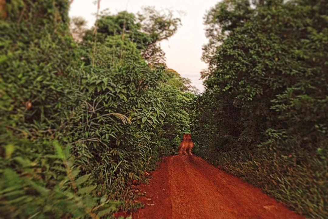 Photo of Others in Puerto Iguazu