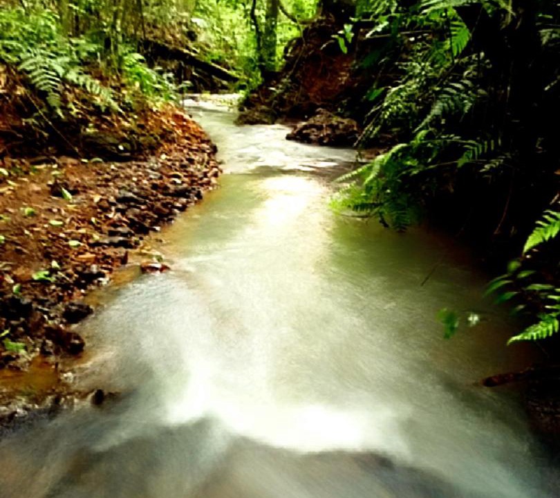 Photo of Others in Puerto Iguazu