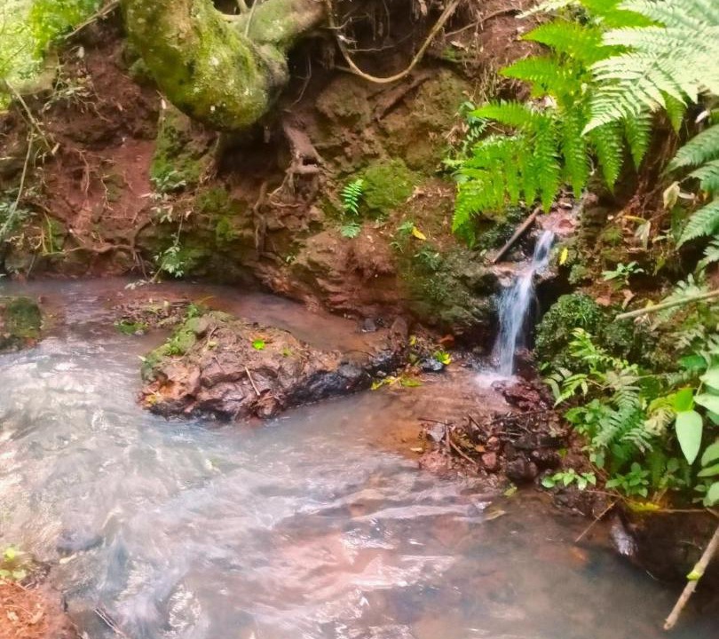 Photo of Others in Puerto Iguazu
