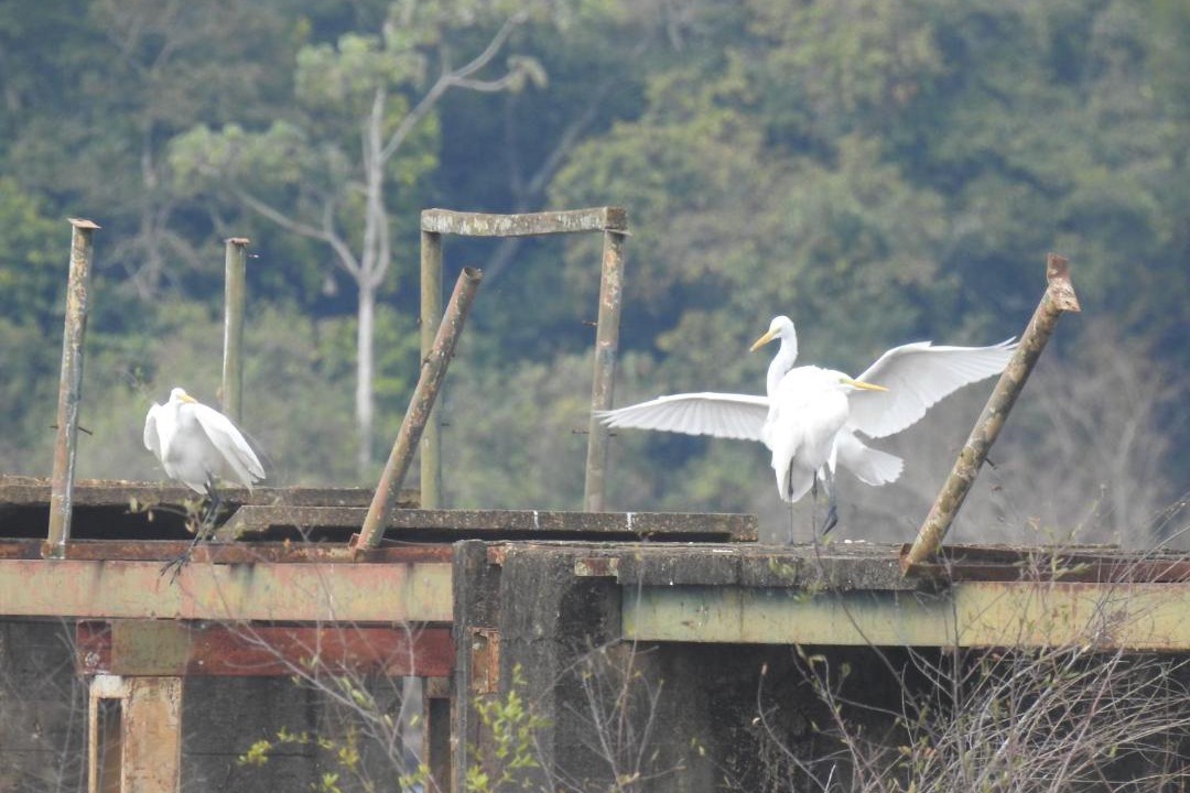 Photo of Others in Puerto Iguazu