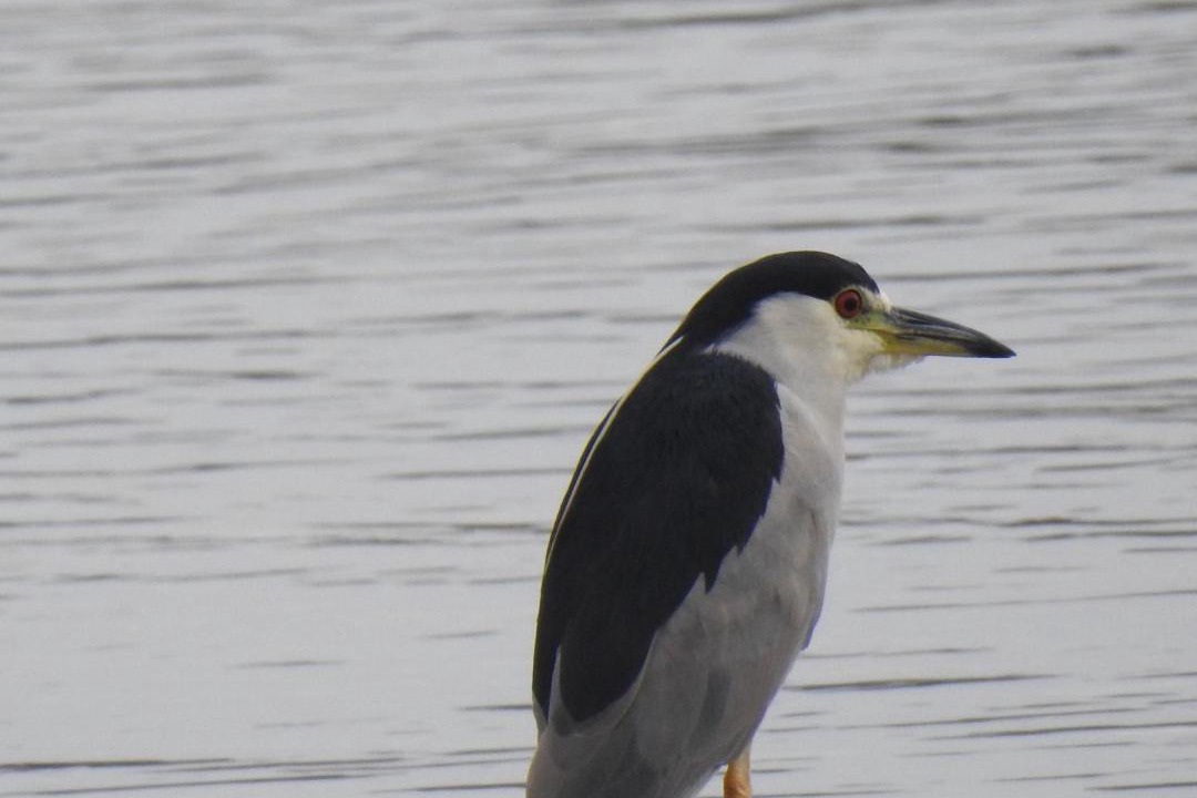 Photo of Others in Puerto Iguazu