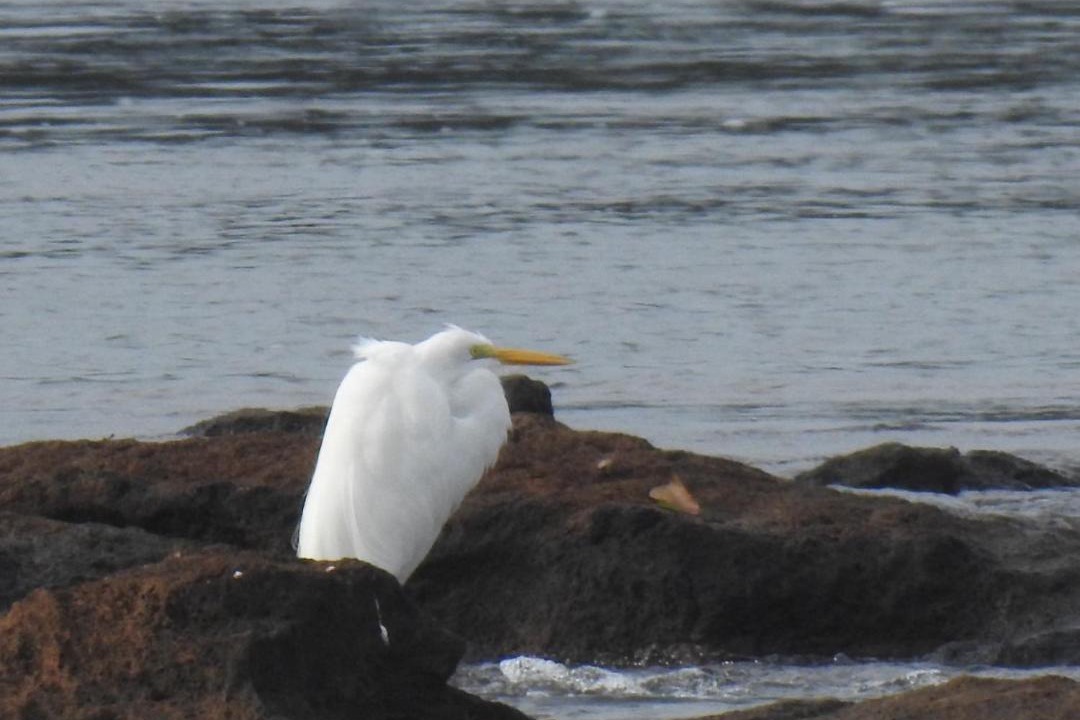 Photo of Others in Puerto Iguazu