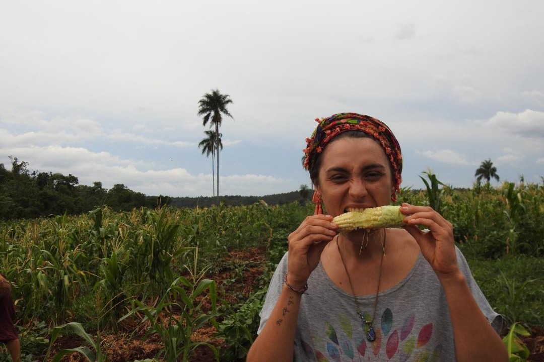 Photo of Others in Puerto Iguazu
