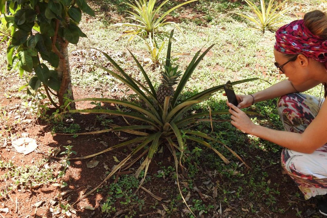 Photo of Others in Puerto Iguazu