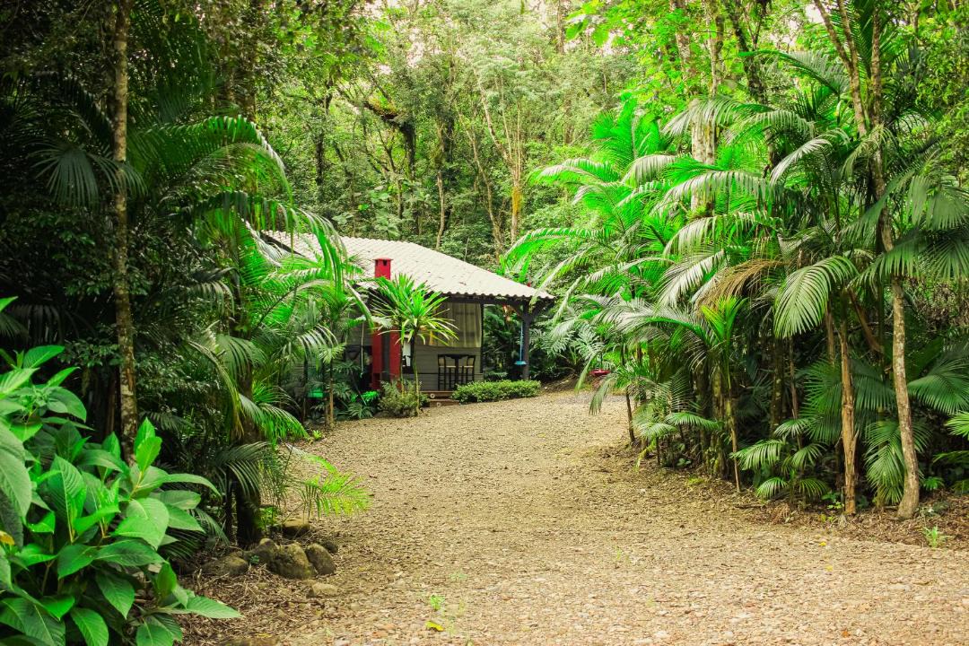 Photo of Others in Timbe do Sul