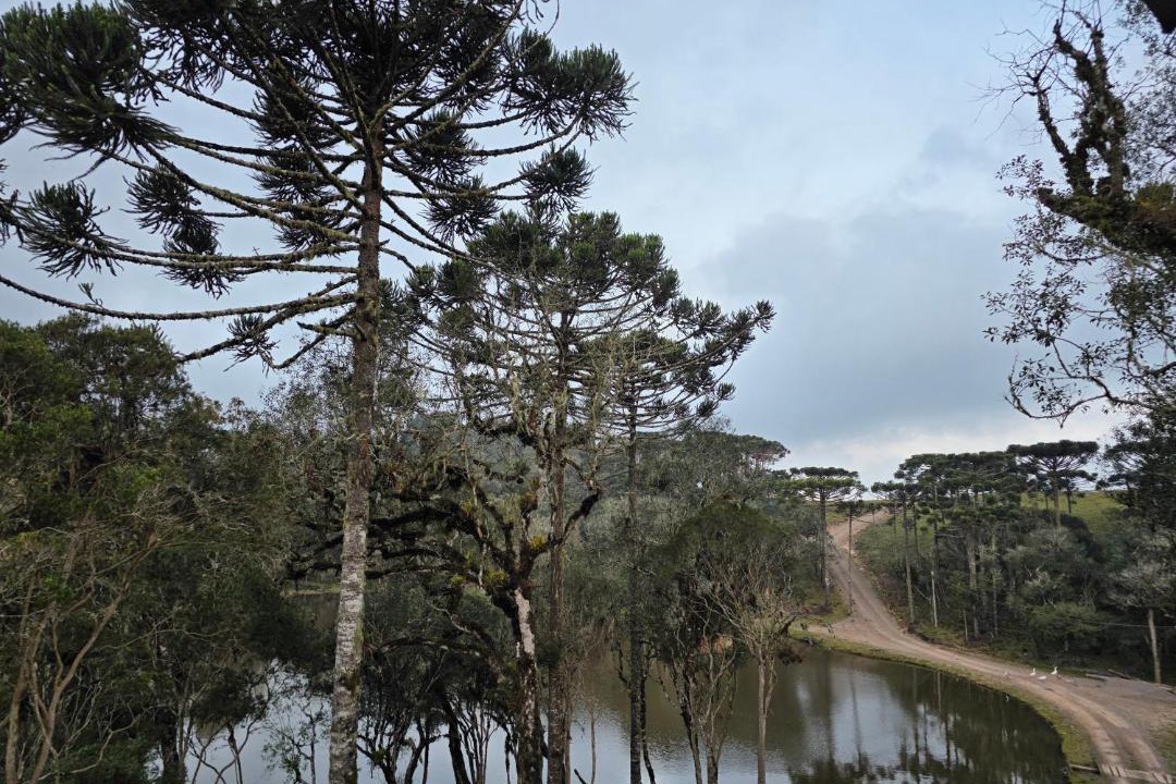 Photo of Others in Cambara do Sul