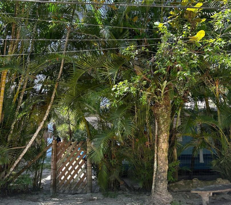 Photo of Others in Paranagua