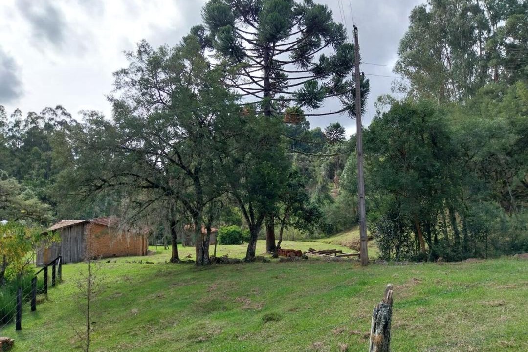 Photo of Others in Urubici
