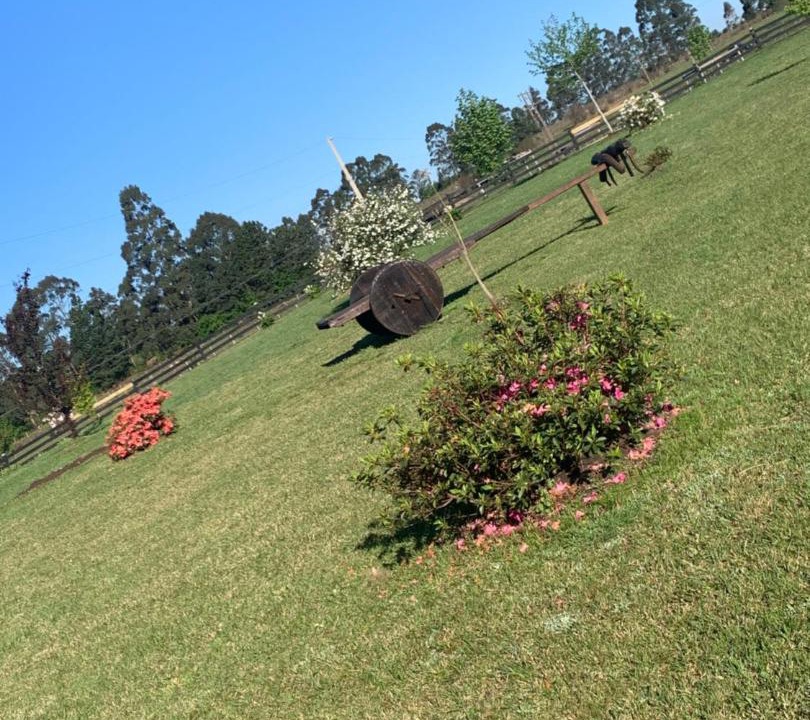Photo of Others in Sao Joaquim