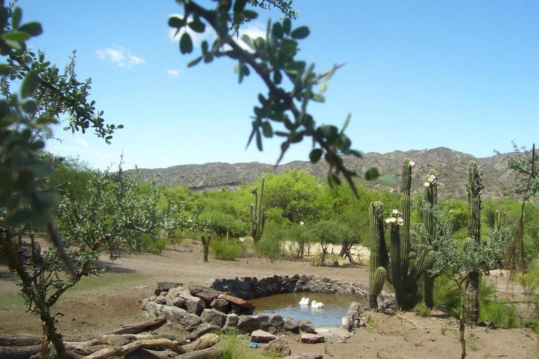Photo of Others in San Agustin de Valle Fertil