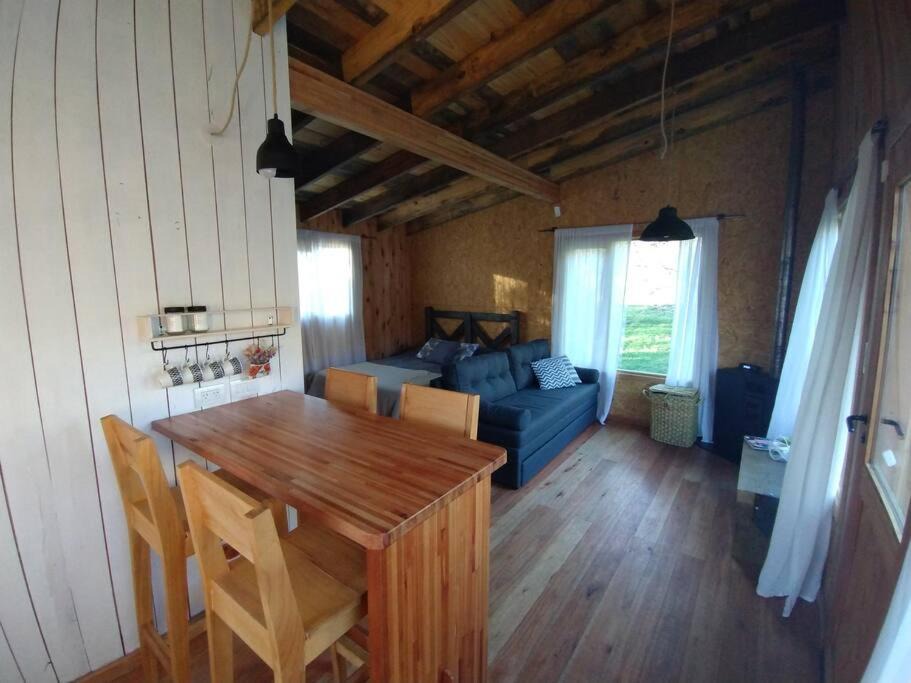 Photo of Others in Lanin National Park