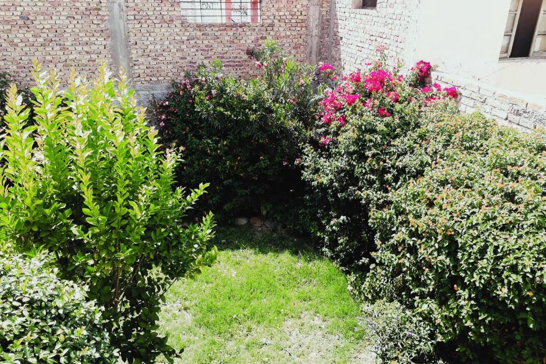 Photo of Outdoor in San Martin