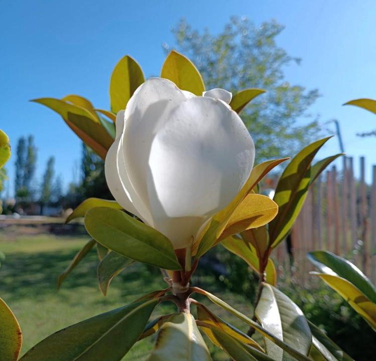 Photo of Outdoor in Maipu