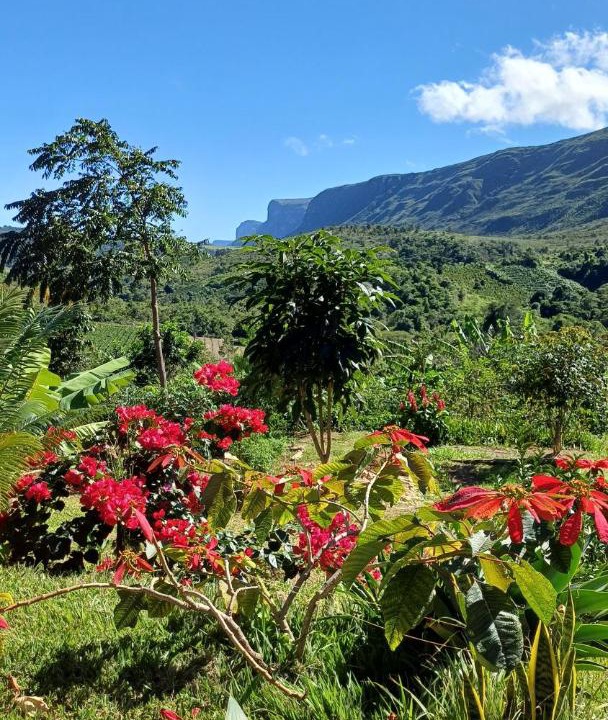 Photo of Others in Ibicoara