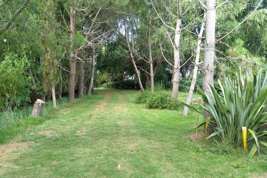 Photo of Outdoor in Las Toninas