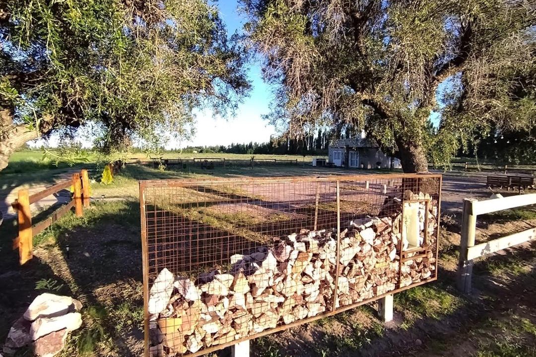Photo of Others in Cuadro Nacional