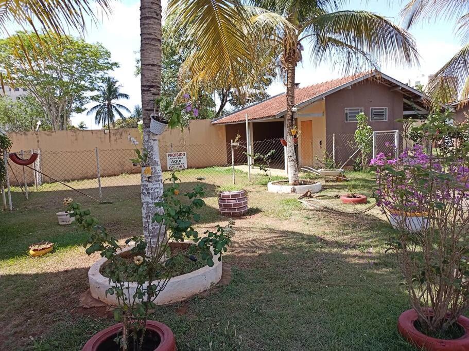 Photo of Others in Aracatuba
