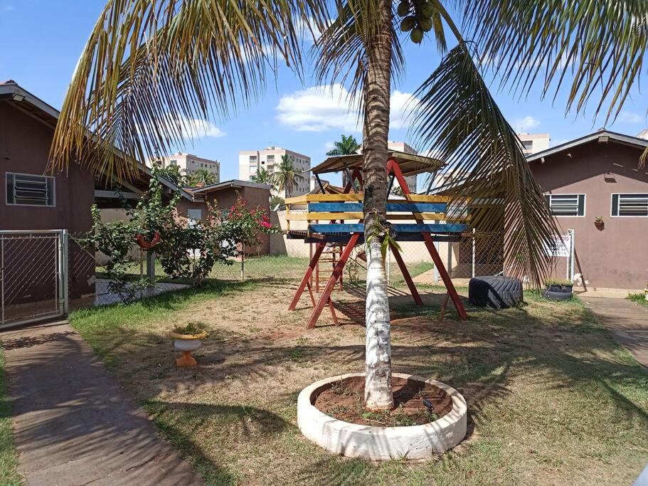 Photo of Others in Aracatuba