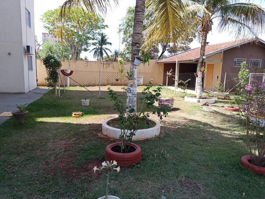 Photo of Others in Aracatuba